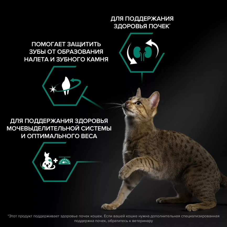 Сухой корм PRO PLAN Turkey для стерилизованных кошек и кастрированных котов, с высоким содержанием индейки, 10 кг фото 3