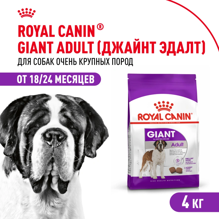 Сухой корм Royal Canin Giant Adult для собак, 4 кг фото 1