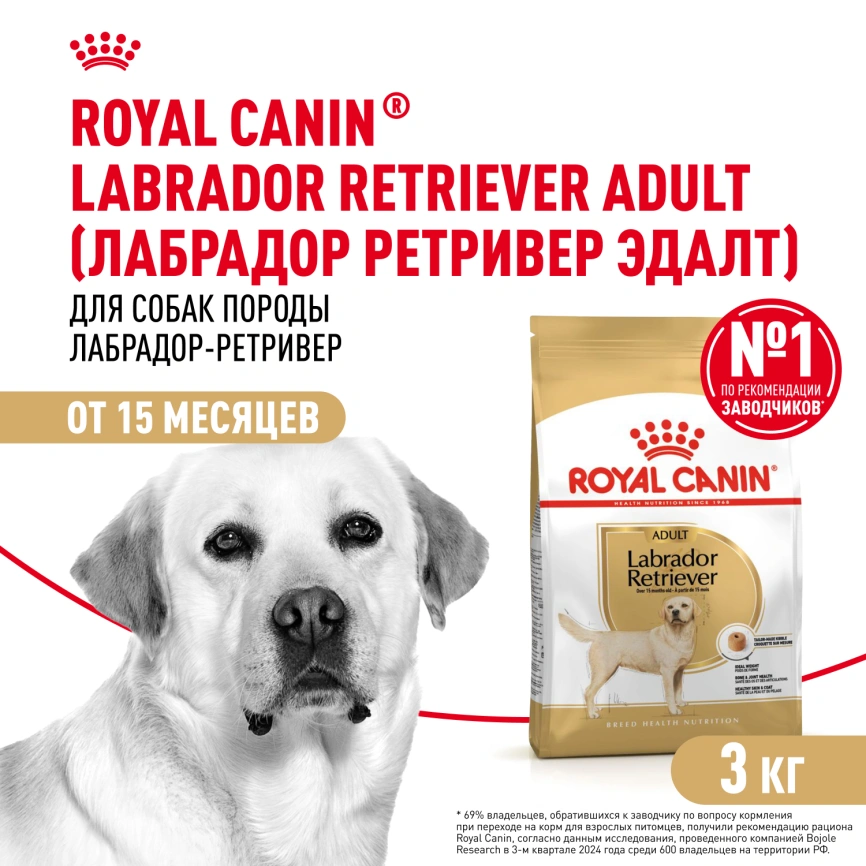 Сухой корм Royal Canin Labrador Retriever Adult для собак, 3 кг фото 1