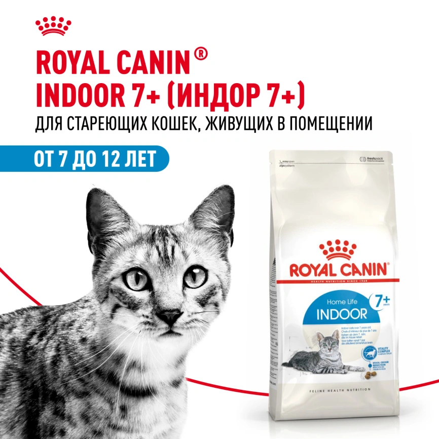 Сухой корм Royal Canin Indoor 7+ для кошек, 400 г фото 3