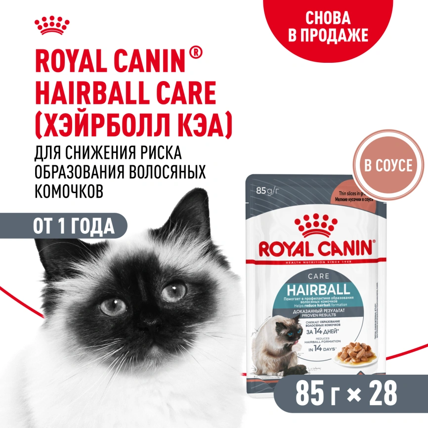 Влажный корм Royal Canin Hairball Care в соусе для взрослых кошек, для выведения волосяных комочков, пауч, 85 г фото 12