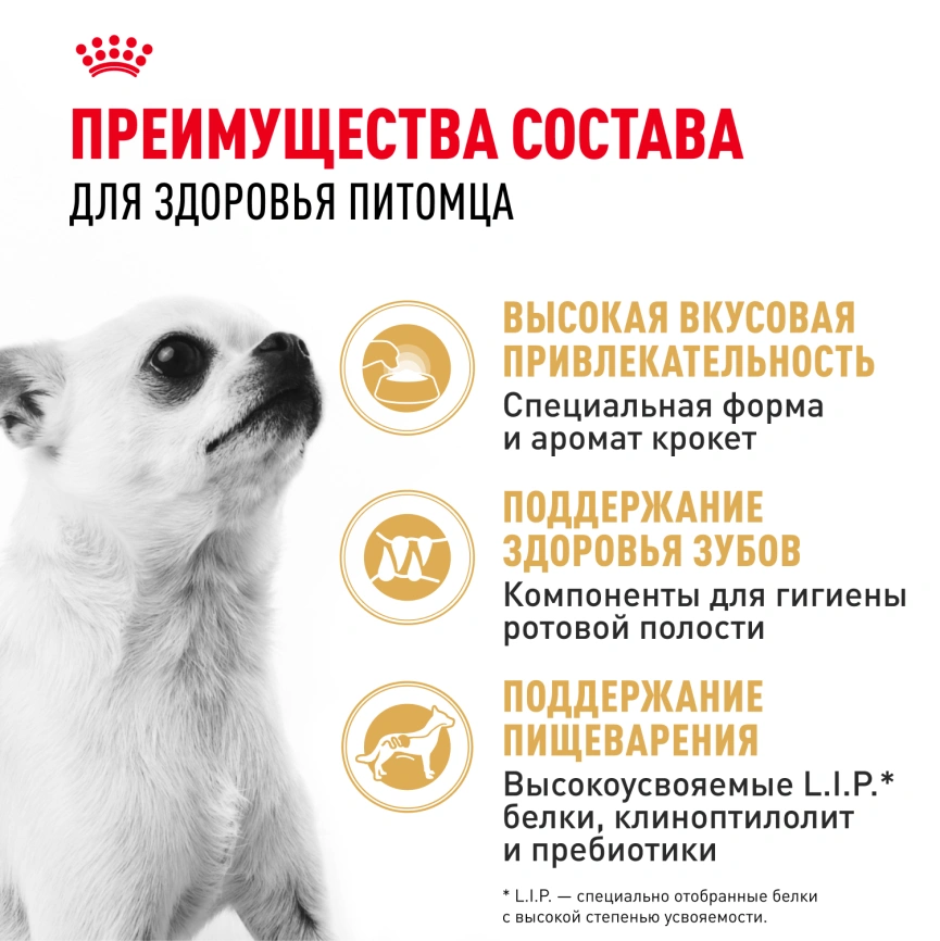 Сухой корм Royal Canin Chihuahua Adult для собак породы чихуахуа, 3 кг фото 3