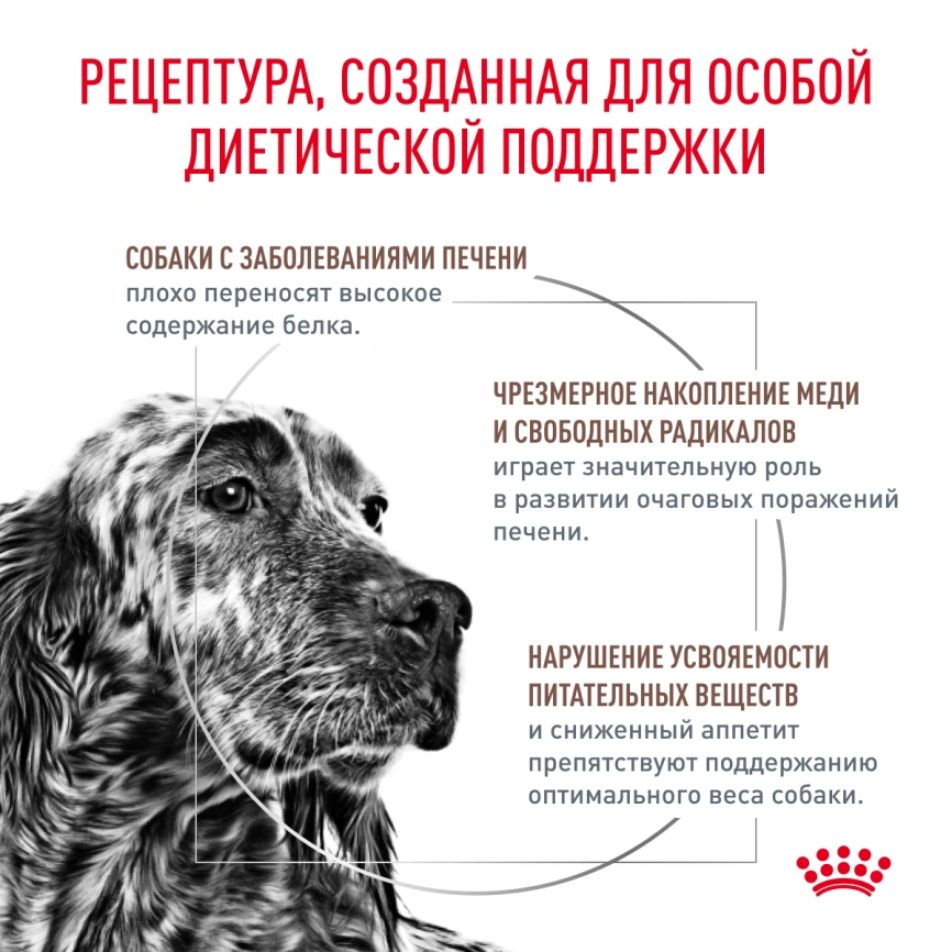 Сухой корм Royal Canin Hepatiс для собак, 1,5 кг фото 3