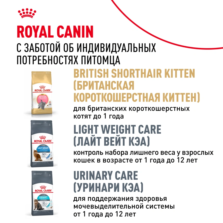 Сухой корм Royal Canin British Shorthair для кошек породы британская короткошерстная, 4 кг фото 10