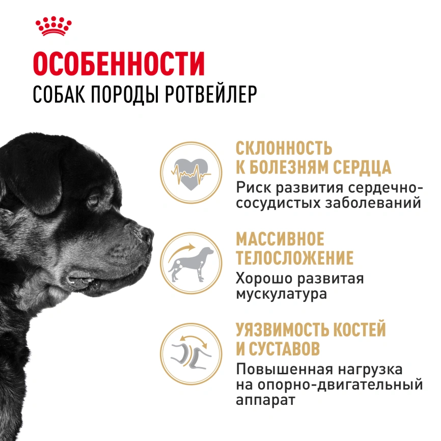 Сухой корм Royal Canin Bulldog Adult для собак породы английский бульдог, 12 кг фото 2