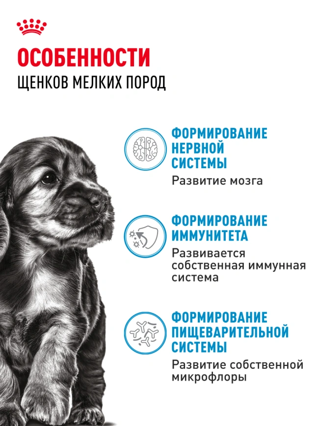 Влажный корм Royal Canin Mini Puppy в соусе для щенков мелких пород до 10 месяцев, пауч, 85 г фото 2