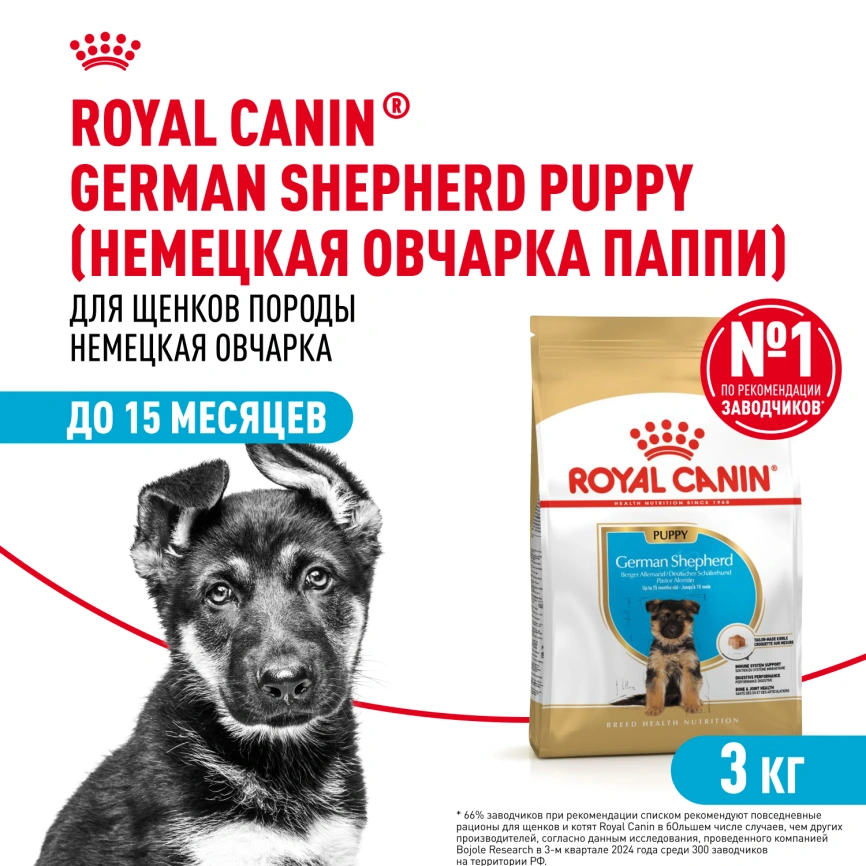 Сухой корм Royal Canin German Shepherd Puppy для щенков, 3 кг фото 1