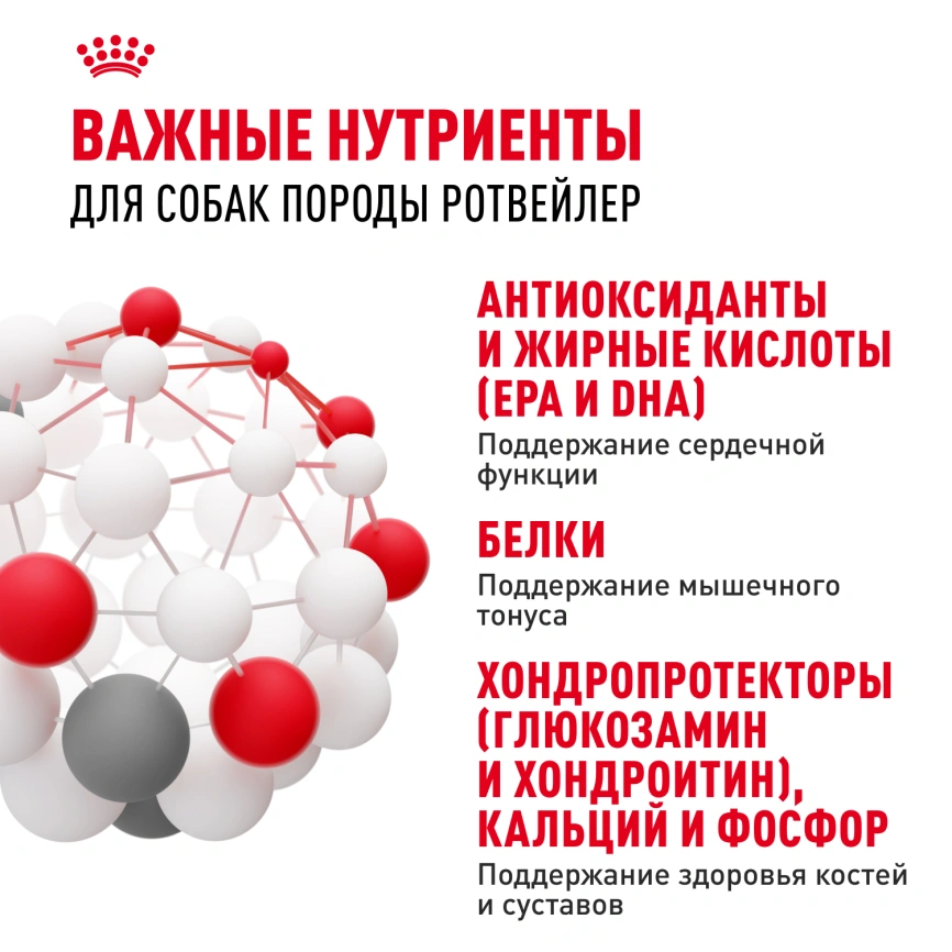 Сухой корм Royal Canin Bulldog Adult для собак породы английский бульдог, 12 кг фото 5