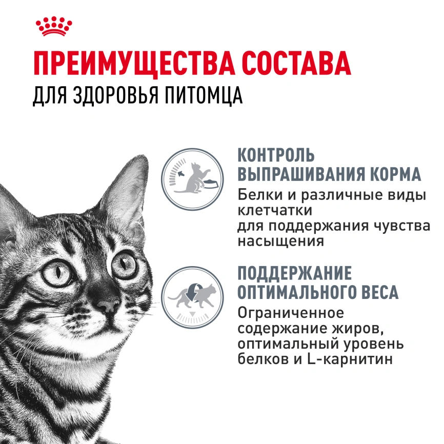 Влажный корм Royal Canin Appetite Control Care в соусе для взрослых кошек, для контроля выпрашивания корма, пауч, 85 г фото 3