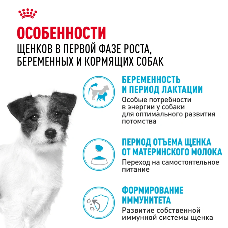Сухой корм Royal Canin Mini Starter Mother & Babydog для щенков и кормящих сук, 3 кг фото 3