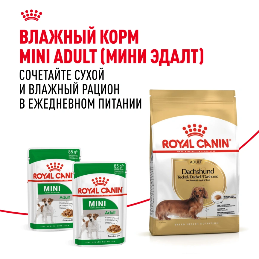 Сухой корм Royal Canin Dachshund Adult для собак породы такса, 7.5 кг фото 8