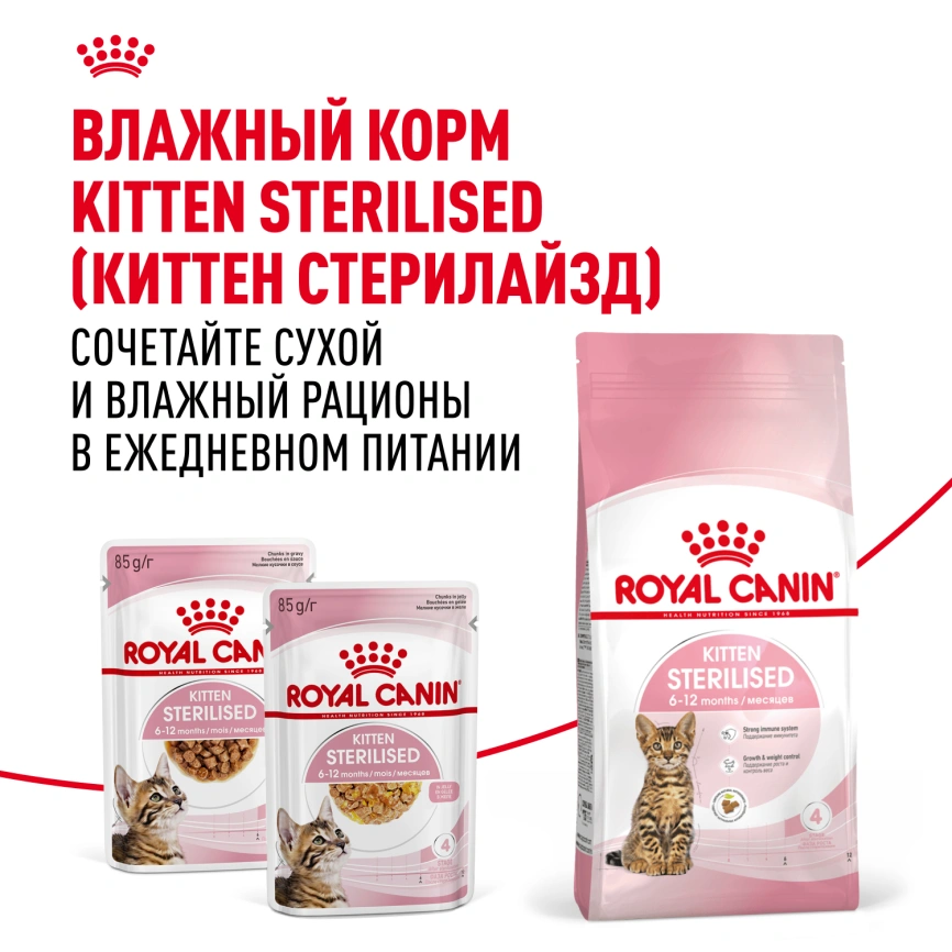 Сухой корм Royal Canin Kitten Sterilised для котят, 400 г фото 8