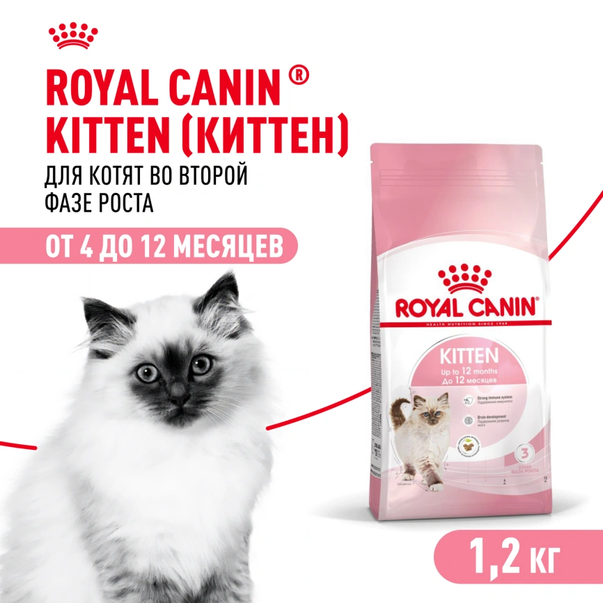 Сухой корм Royal Canin Kitten для котят, 1.2 кг фото 1