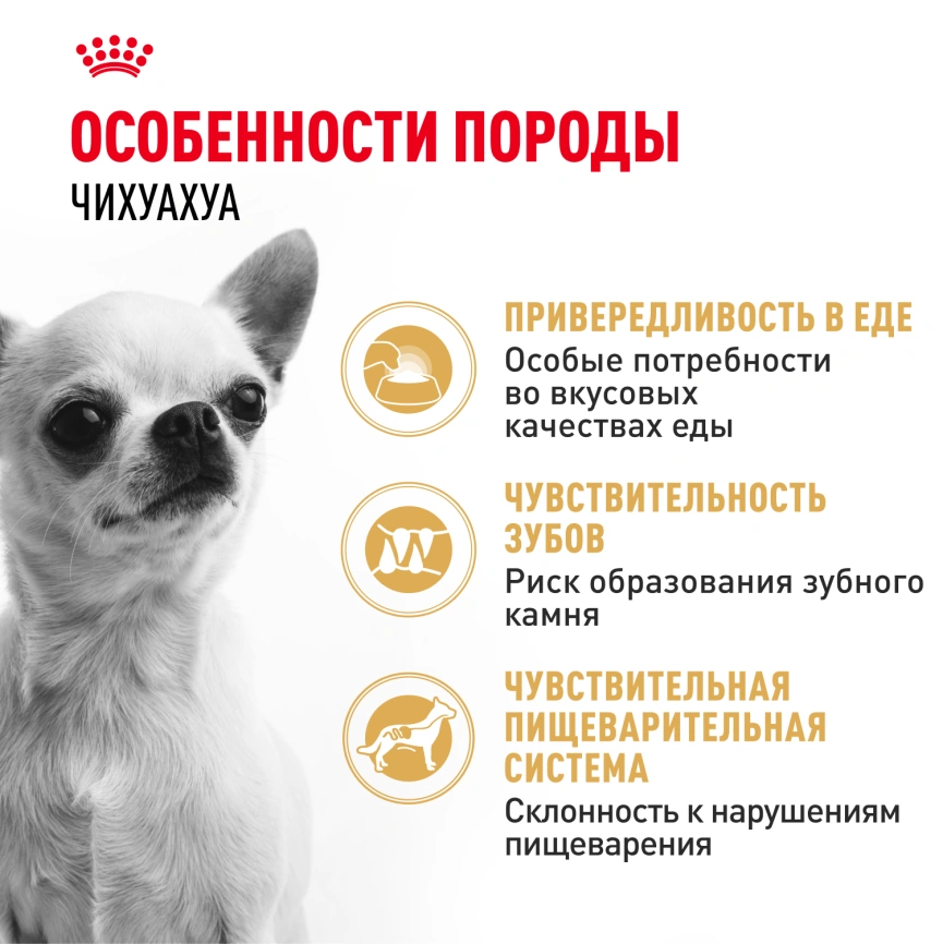 Сухой корм Royal Canin Cocker Adult для собак породы кокер-спаниель, 3 кг фото 2