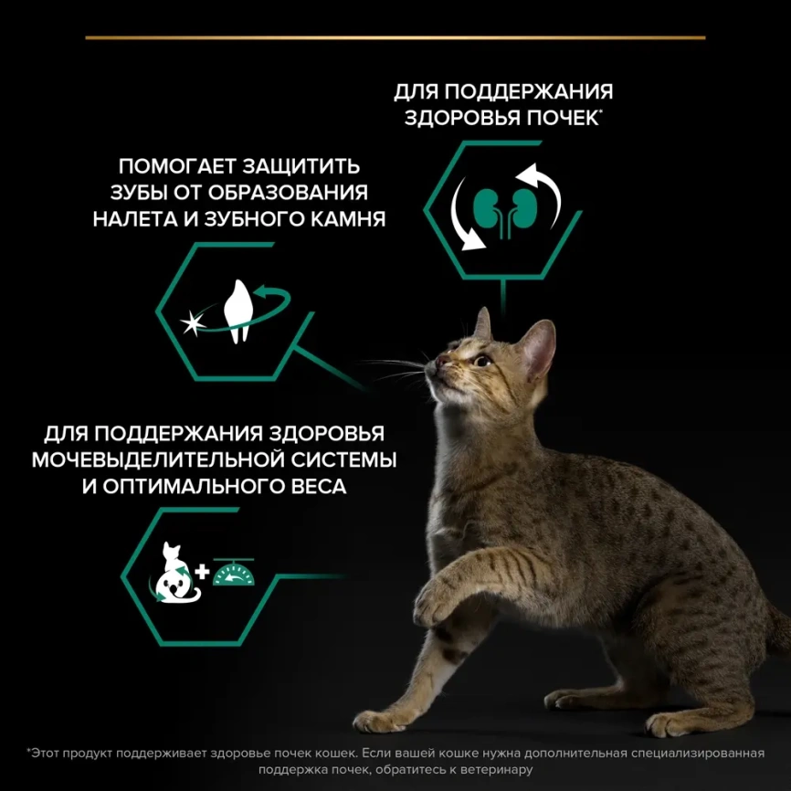 Сухой корм Purina Pro Plan Cat Adult Sterilised Opti-Renalдля стерилизованных кошек, с лососем, 3 кг фото 3