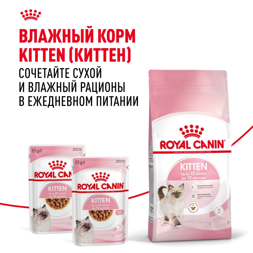 Сухой корм Royal Canin Kitten для котят, 2 кг фото 8