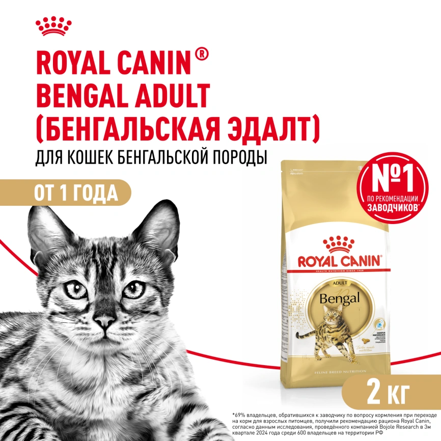 Сухой корм Royal Canin Bengal для кошек бенгальской породы, 2 кг фото 1