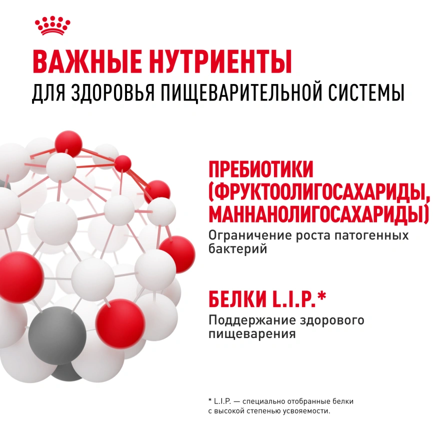 Сухой корм Royal Canin Medium Digestive Care для собак, 3 кг фото 5
