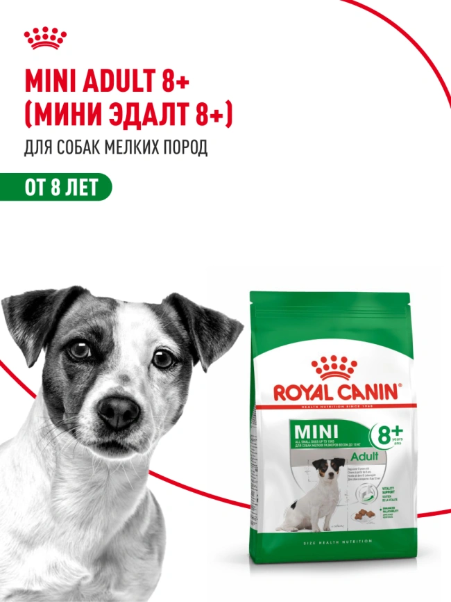 Сухой корм Royal Canin Mini Adult 8+ для пожилых собак, 4 кг фото 13