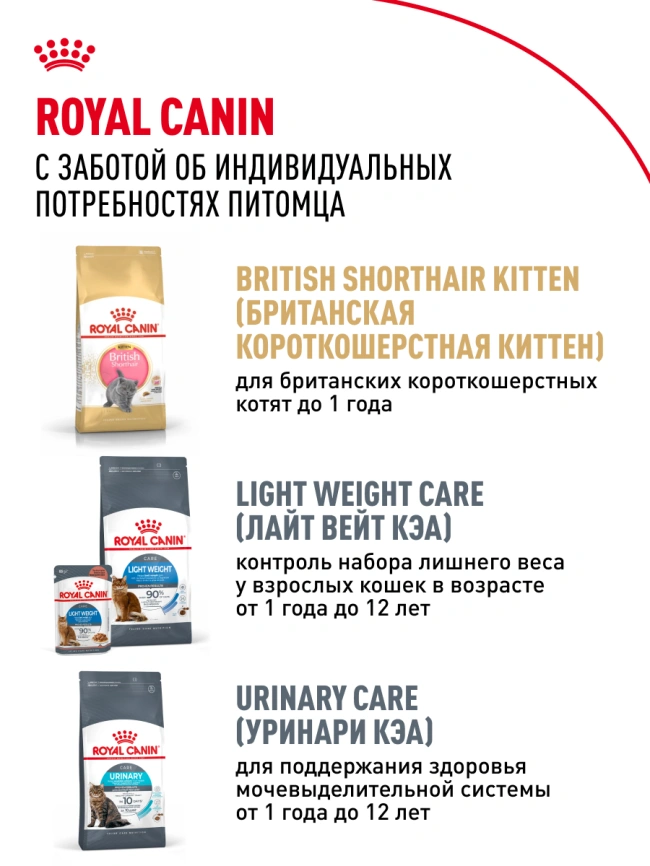 Сухой корм Royal Canin British Shorthair для кошек породы британская короткошерстная, 4 кг фото 27