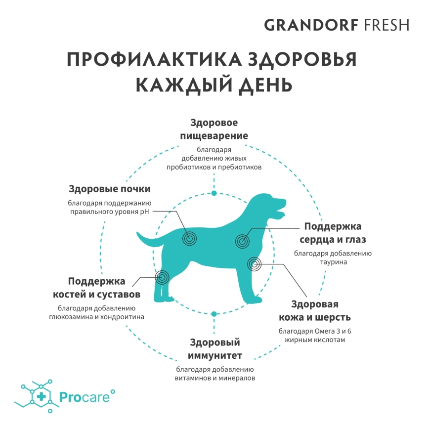 Сухой корм Grandorf Fresh Dog для взрослых собак средних и крупных пород диетическая формула для особо аллергичных собак индейка с бататом 1 кг фото 4