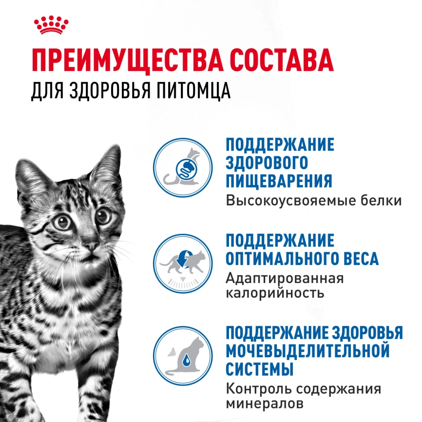 Влажный корм Royal Canin Indoor в желе для кошек, живущих в помещении, пауч, 85 г фото 3