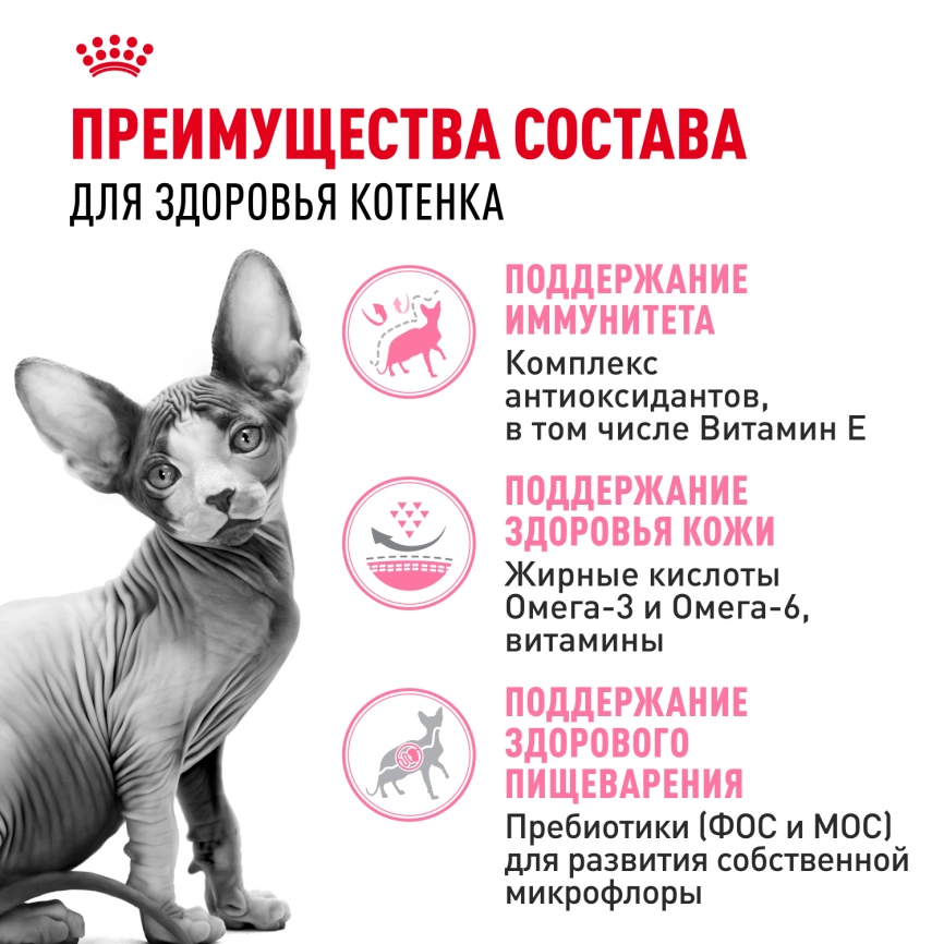 Сухой корм Royal Canin Kitten Sphynx для котят, 400 г фото 3