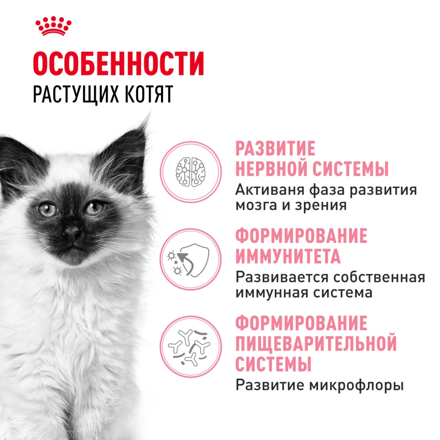Сухой корм Royal Canin Kitten для котят, 300 г фото 2