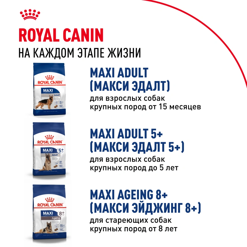 Сухой корм Royal Canin Maxi Puppy для щенков, 15 кг фото 9