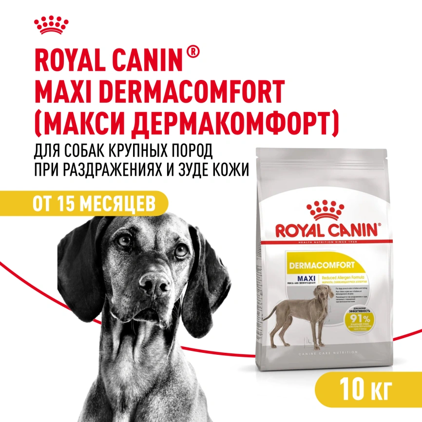 Сухой корм Royal Canin Maxi Dermacomfort для собак, 10 кг фото 1