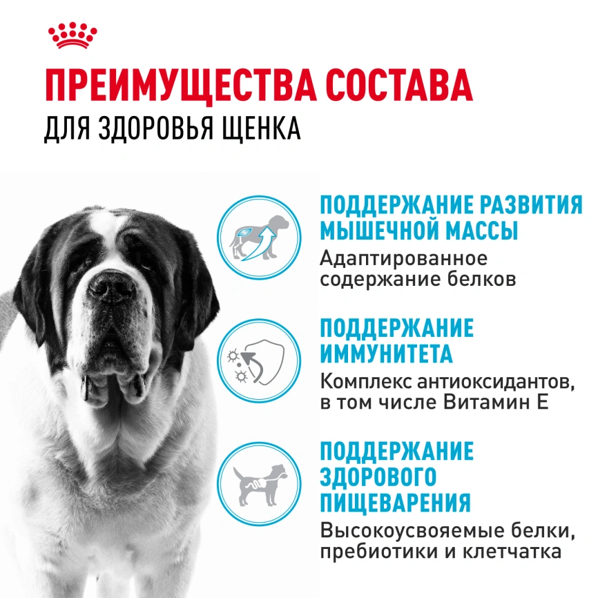 Сухой корм Royal Canin Giant Junior для щенков, 3.5 кг фото 3
