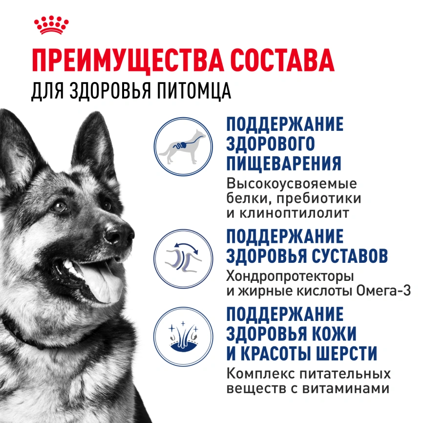 Сухой корм Royal Canin Maxi Adult для собак, 15 кг фото 3