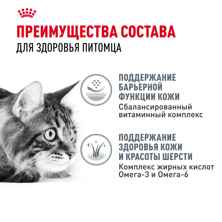 Сухой корм Royal Canin Hair & Skin Care для кошек, 2 кг фото 3