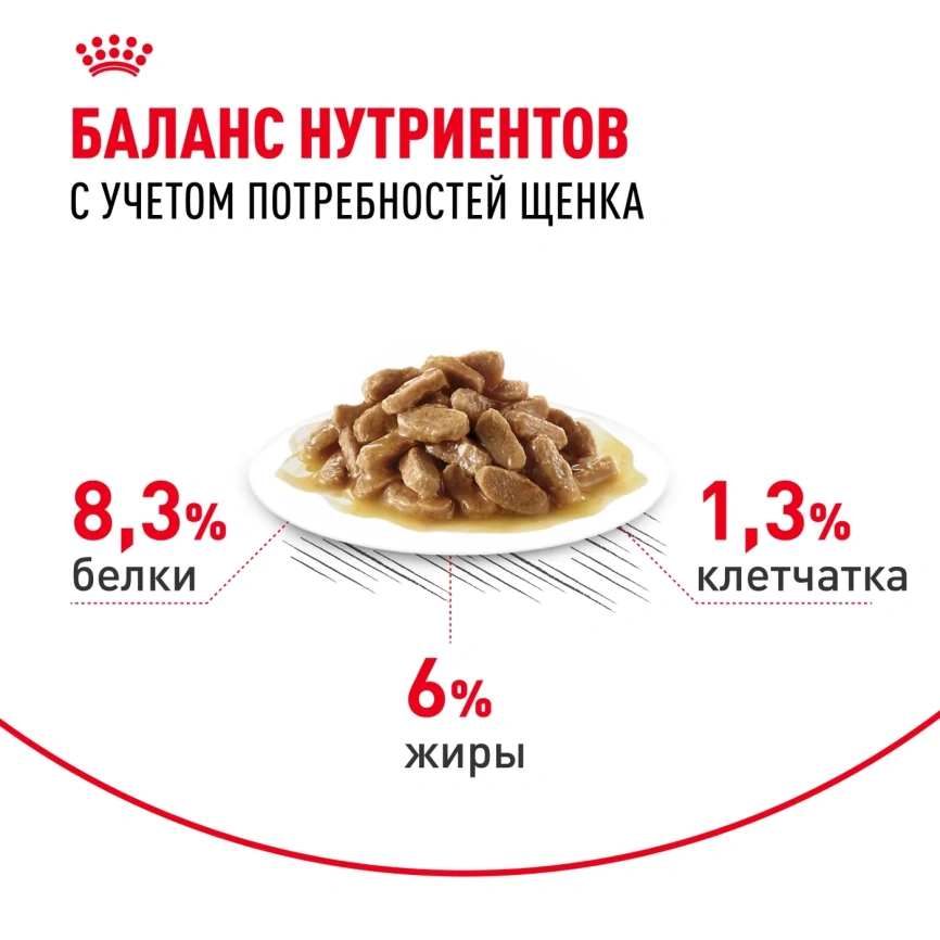 Влажный корм Royal Canin Medium Puppy для щенков средних пород в соусе, 100 г фото 6