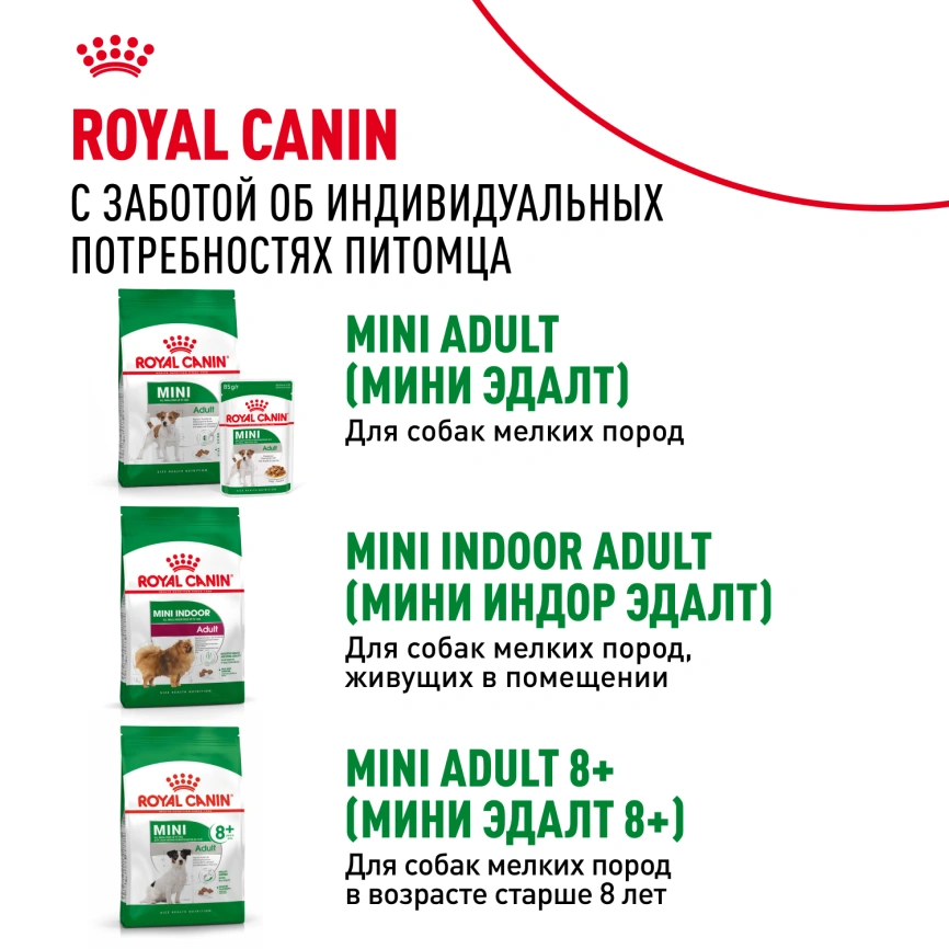 Влажный корм Royal Canin Mini Ageing 12+ в соусе для стареющих собак мелких пород старше 12 лет, пауч, 85 г фото 10