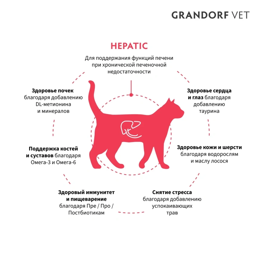 Сухой корм Grandorf Veterinary Hepatic для кошек при заболеваниях печени, 400 г фото 2