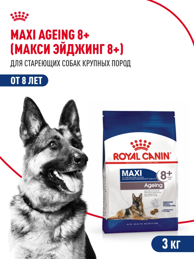 Сухой корм Royal Canin Maxi Ageing 8+ для собак, 3 кг фото 13