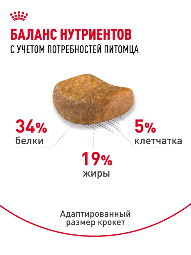 Сухой корм Royal Canin British Shorthair для кошек породы британская короткошерстная, 10 кг фото 23
