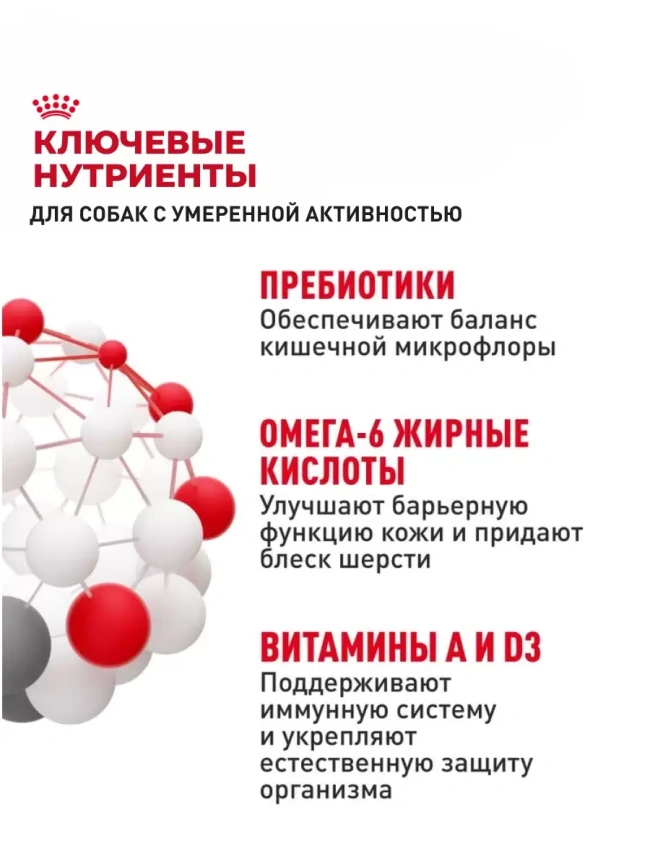 Сухой корм Royal Canin Giant Adult PRO для взрослых собак гигантских пород, 20 кг фото 4