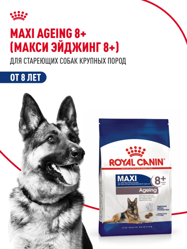 Сухой корм Royal Canin Maxi Ageing 8+ для собак, 3 кг фото 11