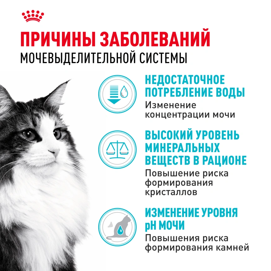 Сухой корм Royal Canin Urinary Care для кошек для профилактика МКБ, 4 кг фото 2