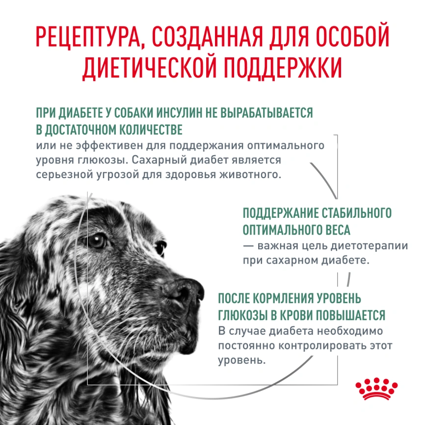 Сухой корм Royal Canin Maxi Joint Care для собак, 10 кг фото 2