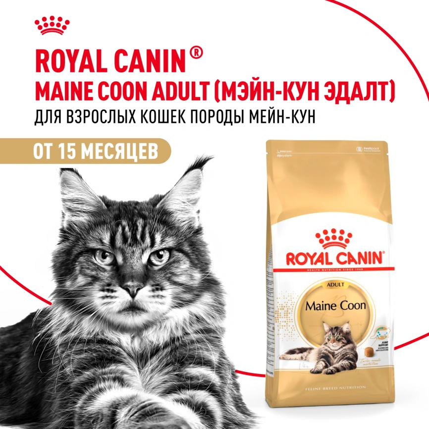 Сухой корм Royal Canin Maine Coon для кошек, 10 кг фото 13