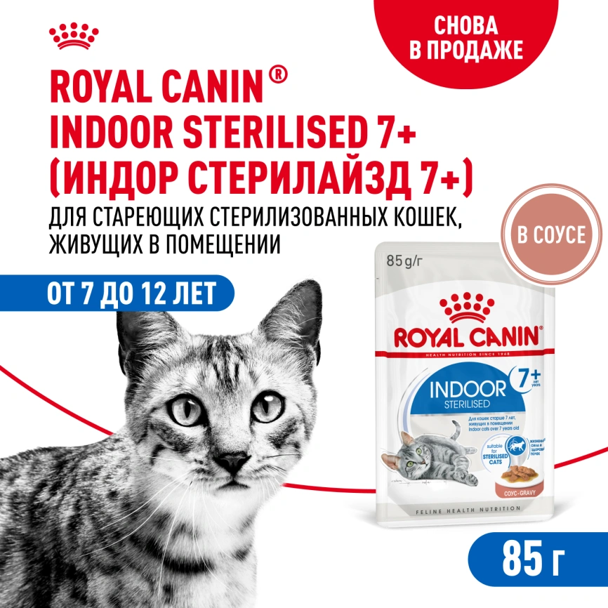 Влажный корм Royal Canin Indoor 7+ в соусе для кошек старше 7 лет, живущих в помещении, пауч, 85 г фото 1
