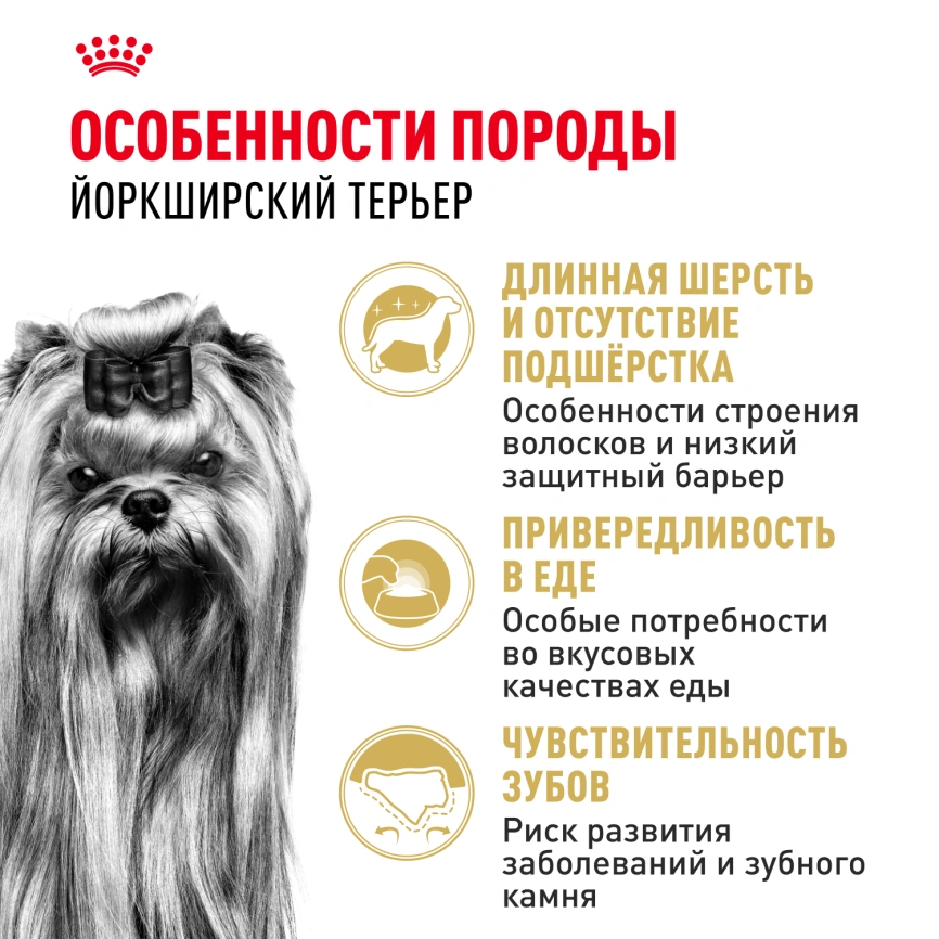 Сухой корм Royal Canin Yorkshire Terrier Adult для взрослых собак, 500 г фото 2