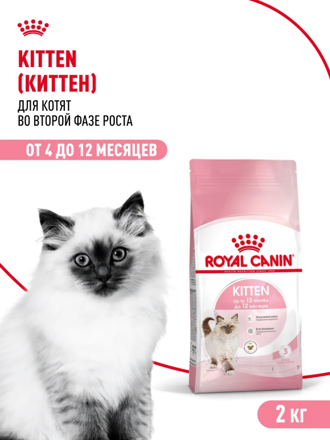 Сухой корм Royal Canin Kitten для котят, 2 кг фото 13