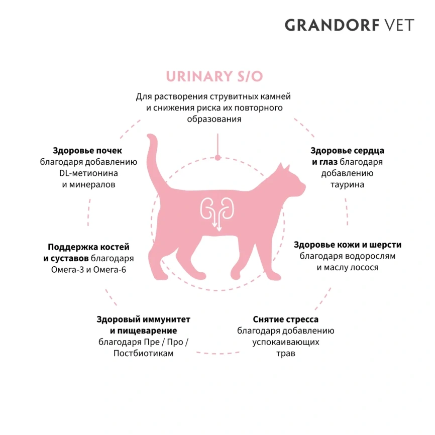 Сухой корм Grandorf Veterinary Urinary S/O для кошек при заболеваниях нижних мочевыводящих путей, 400 г фото 2