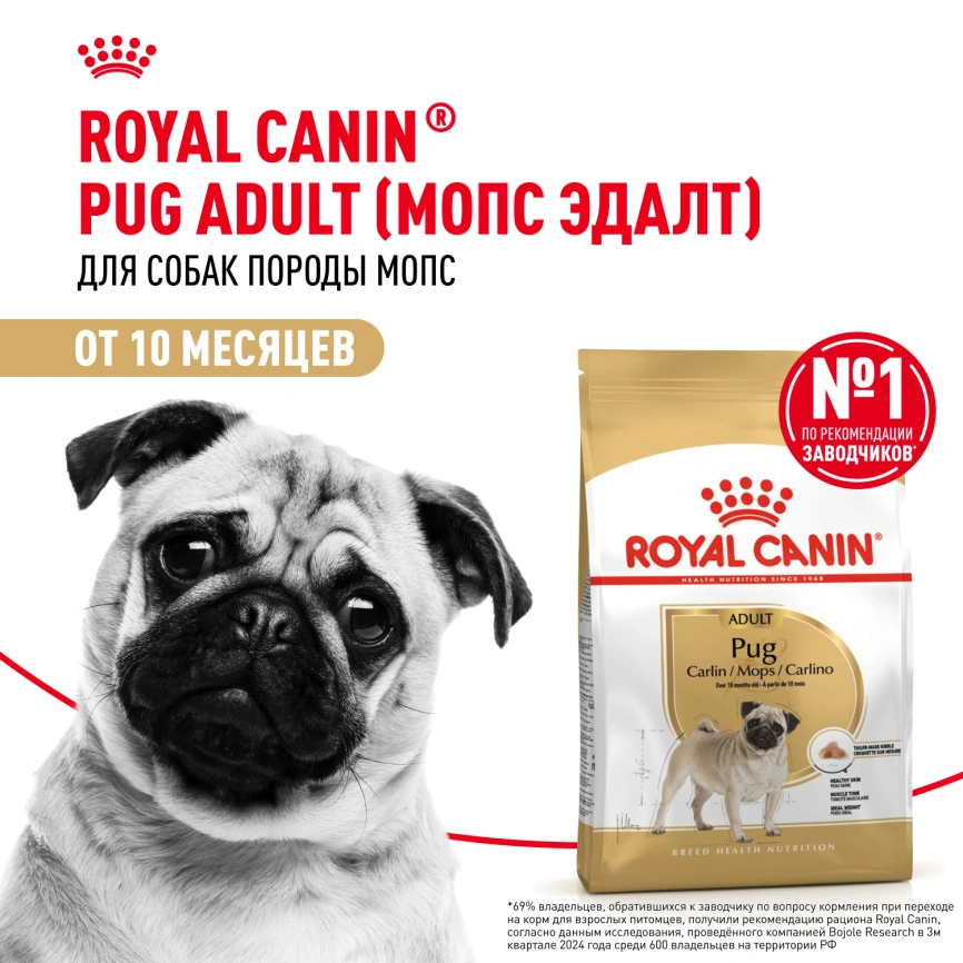 Сухой корм Royal Canin Pug Adult для взрослых собак, 500 г фото 14