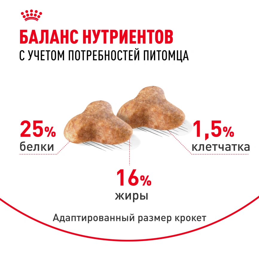 Сухой корм Royal Canin Pug Adult для взрослых собак, 7,5 кг фото 4