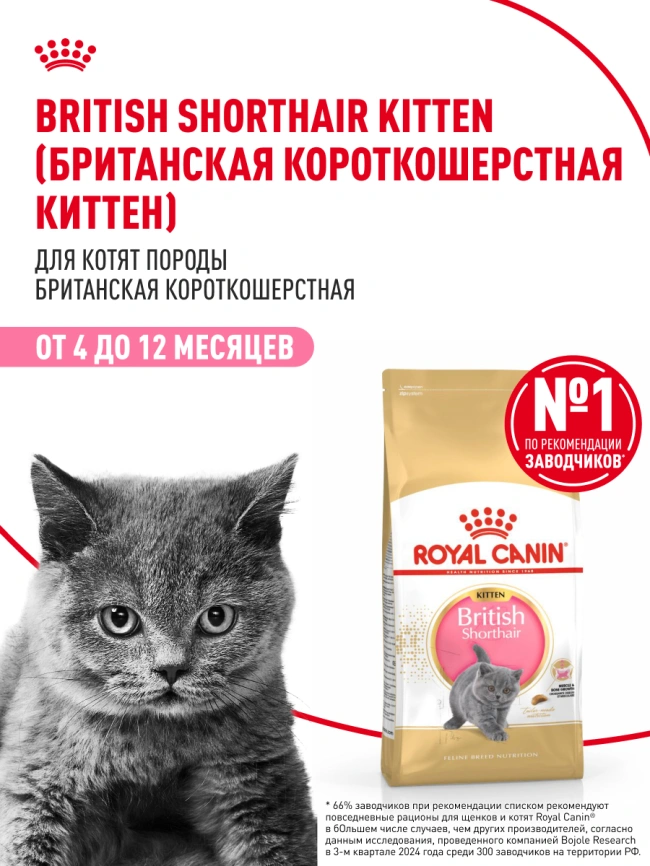 Сухой корм Royal Canin Kitten British Shorthair для котят, 2 кг фото 14